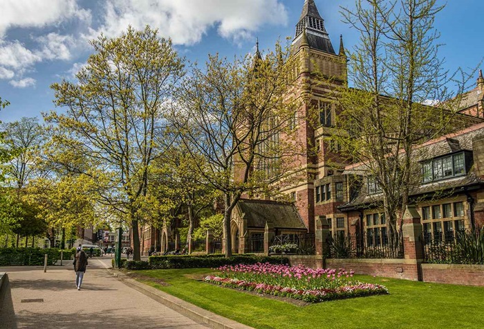 International Foundation Year